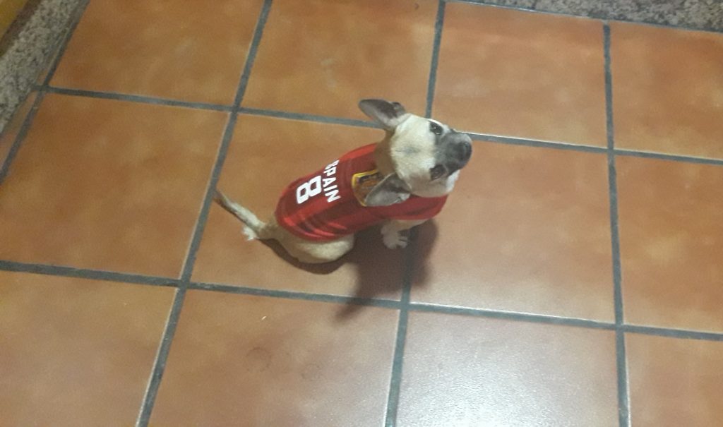 camiseta de españa para perros