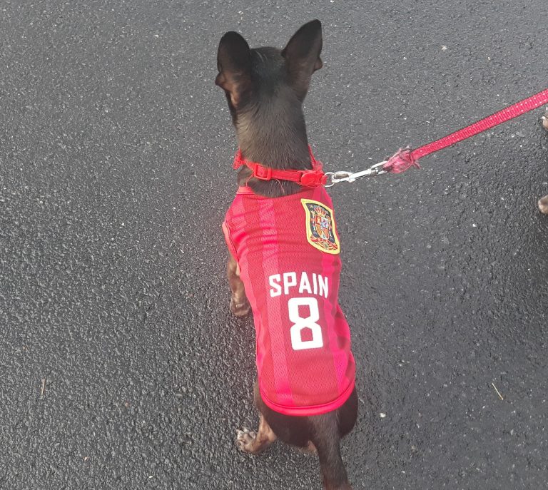 camisetas de futbol para perros