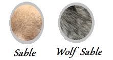 Los colores del chihuahua 17 los colores del chihuahua sables y wolf